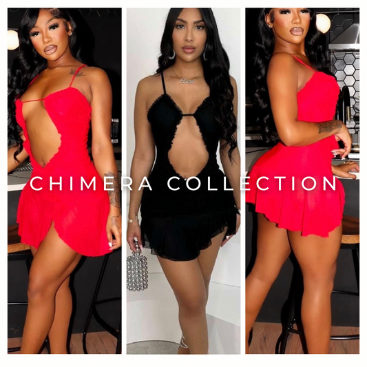 NO LETTING GO DRESS MINI