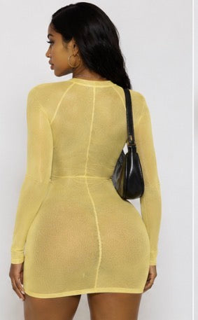Tequila Mesh Dress