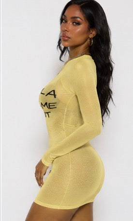 Tequila Mesh Dress